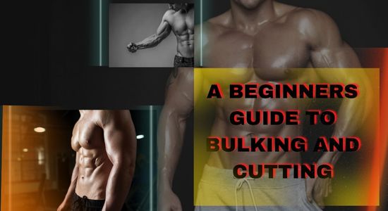 You are currently viewing A BEGINNERS GUIDE TO BULKING AND CUTTING